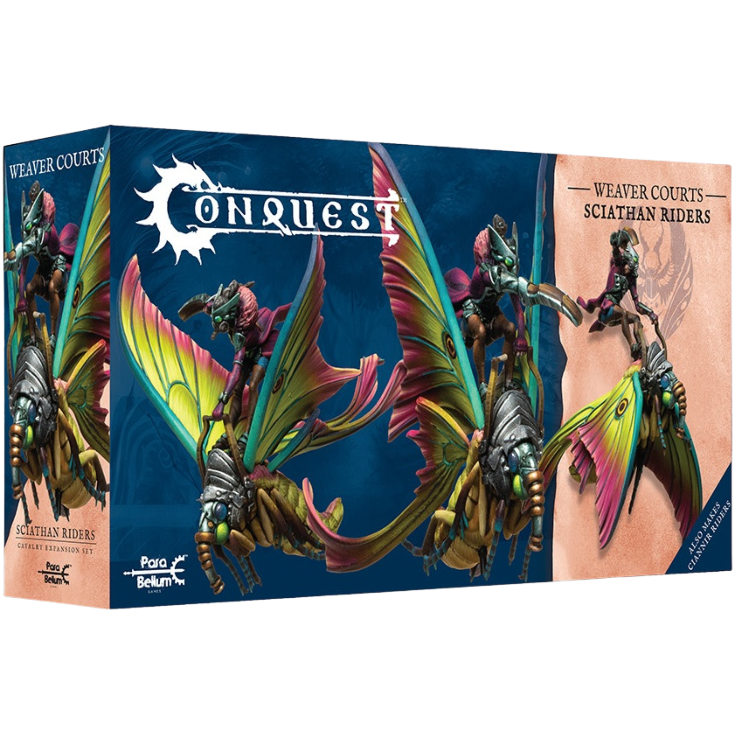 Weaver Courts: Sciathan Riders